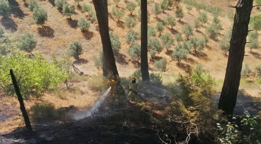 Kahramanmaraş'ta orman yangını 9